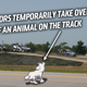 Image for article titled Five Ways To Making Watching Global Rallycross Way More Fun